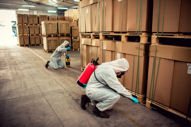Best Affordable Pest Control Services  in Euharlee, GA