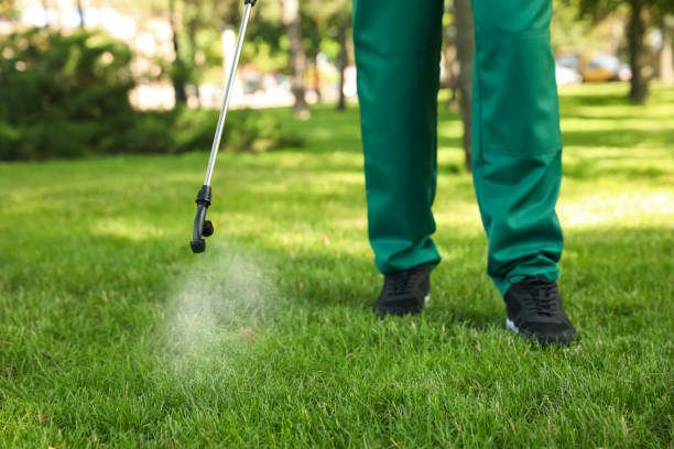 Best Residential Pest Control  in Euharlee, GA