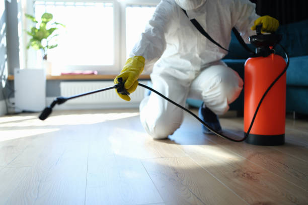 Wasp Removal Services in Euharlee, GA