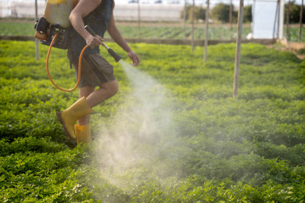 Professional Pest Control in Euharlee, GA