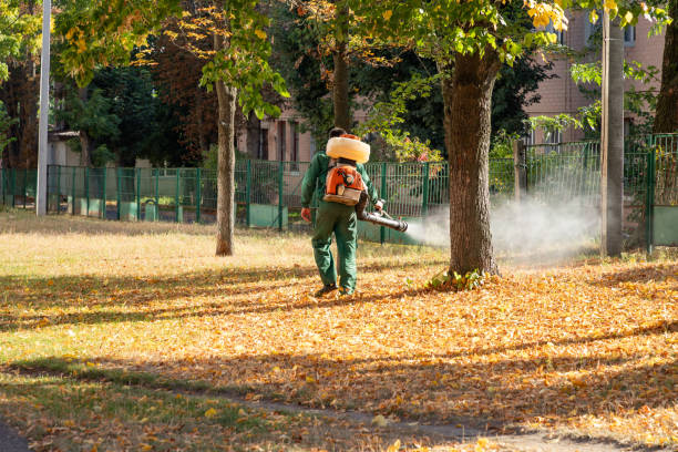 Best Best Pest Control Companies  in Euharlee, GA