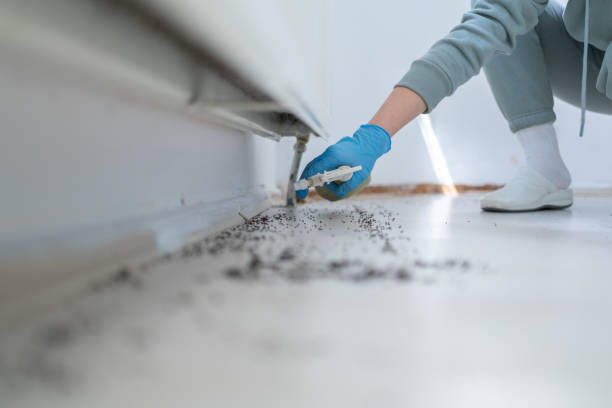 Best Bed Bug Extermination  in Euharlee, GA