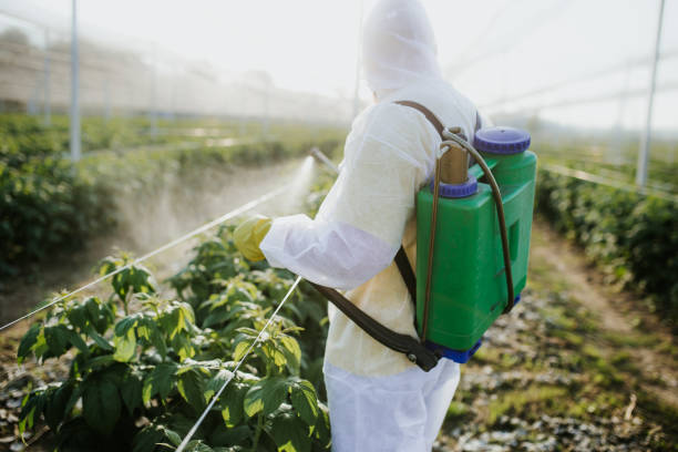 Best Emergency Pest Control  in Euharlee, GA